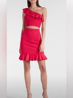Express Pink Ruffle Knit Skirt Set